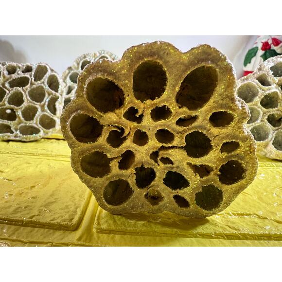 Vintage Lotus Seed Pod Floral Picks Christmas Holiday White Silver Set - Picture 8 of 16